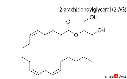 2-AG og anandamid 