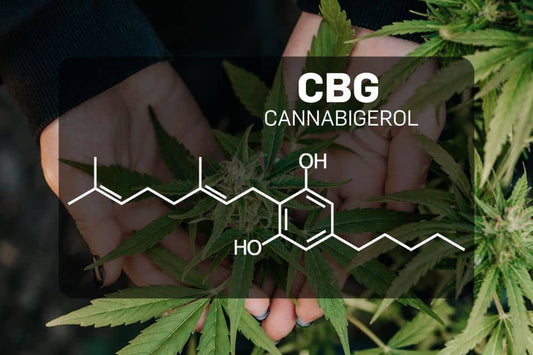 CBG molekylbilde