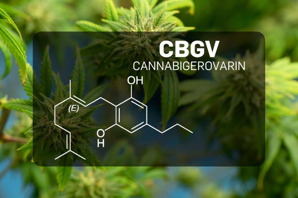 Kjemisk struktur av Cannabigerivarin (CBGV)