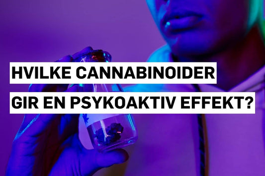 Hvilke cannabinoider gir en psykoaktiv effekt?