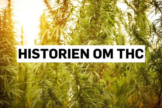 THCs historie