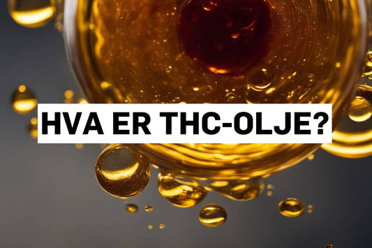 Hva er THC olje?