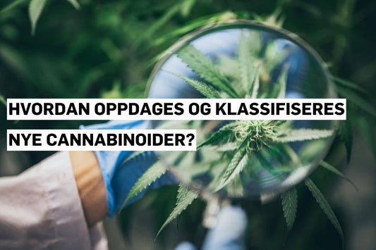 Hvordan oppdages og klassifiseres nye cannabinoider?