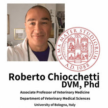 Professor Roberto Chiocchetti ved universitetet i Bologna