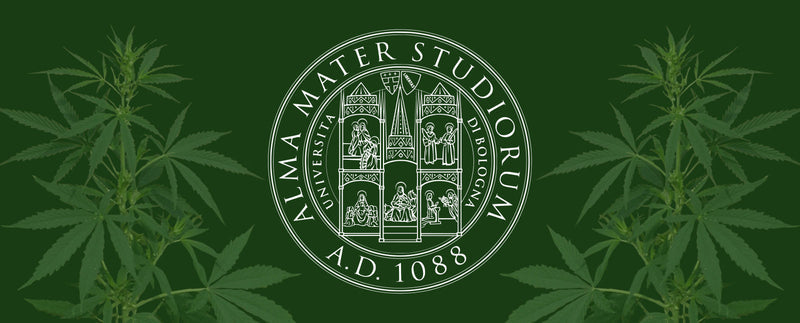 Forskningssamarbeid med Universitetet i Bologna