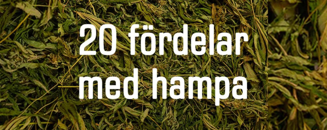 20 fordeler med hamp