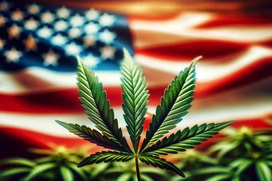 Cannabisblad foran USAs flagg