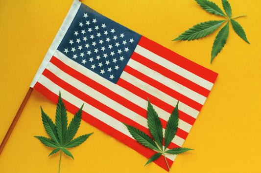 USAs flagg med tre cannabisblader