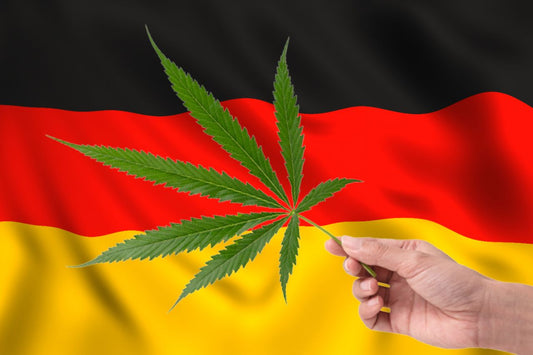 cannabisblad foran det tyske flagget