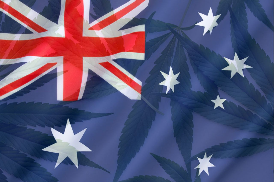Australsk flagg og cannabisblader