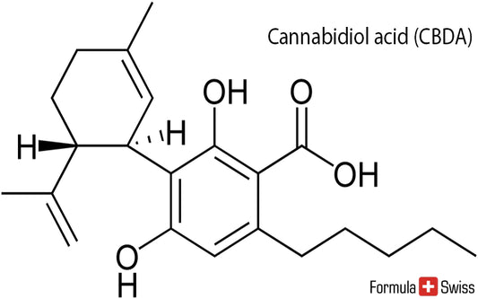 CBDV - Cannabidivarin