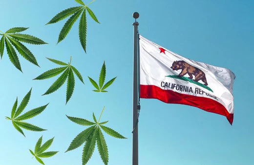 Vifter med Californias flagg og cannabisblader