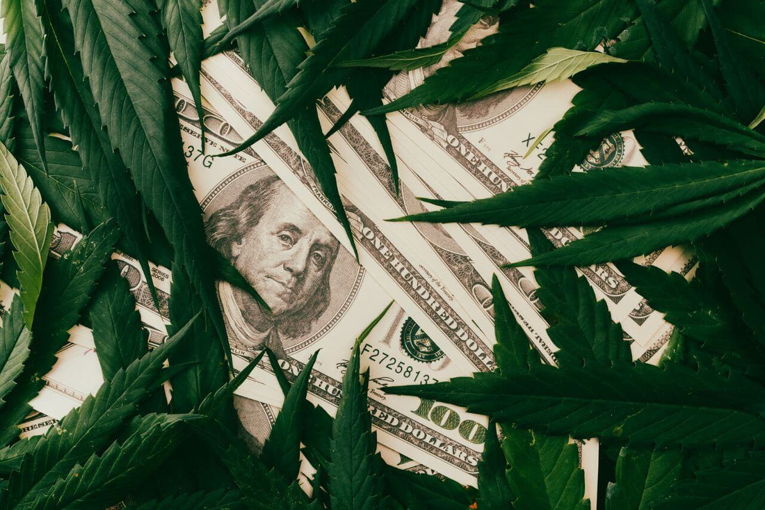 Dollar og cannabisblader