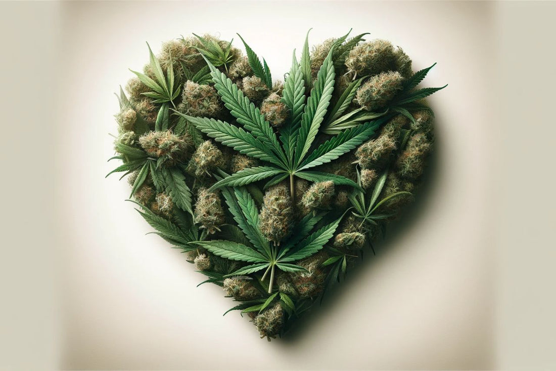 Hjerteformet cannabis