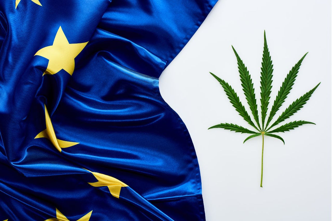 Utbredelsen av cannabis i Europa