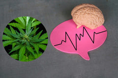 Cannabis for nevrologisk behandling