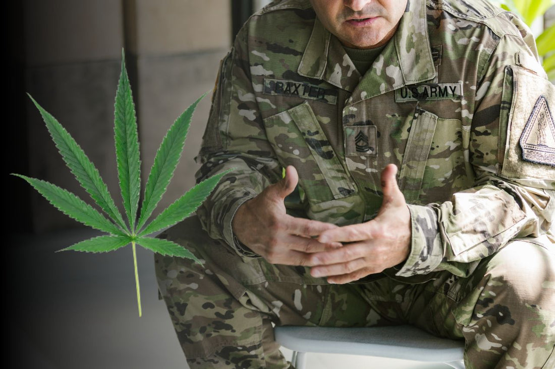 Cannabis forbedrer veteraners livskvalitet