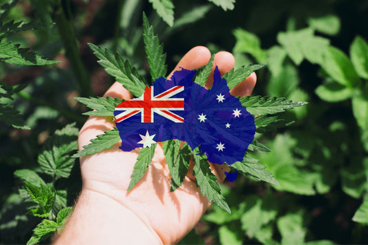 Cannabis i Australia