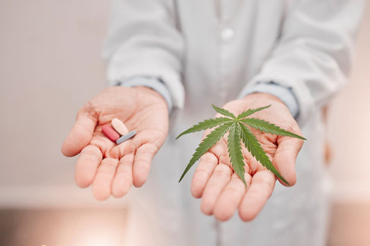 Cannabis kan redusere suget etter opioider