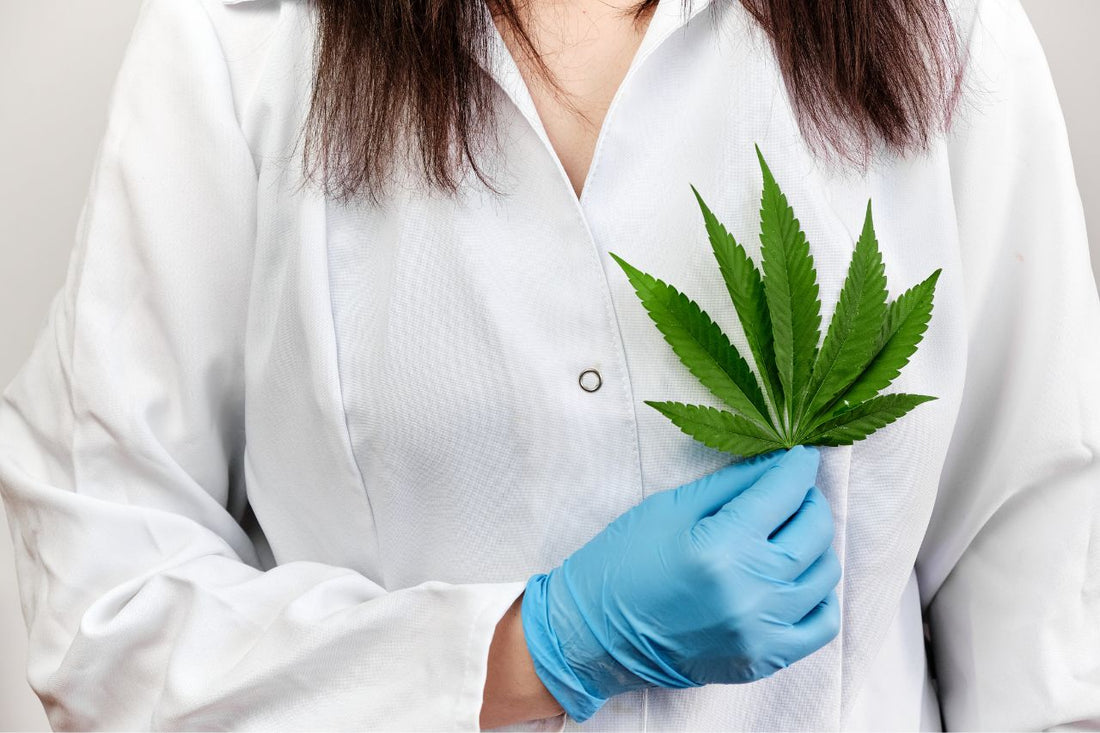 En lege med et cannabisblad i hånden