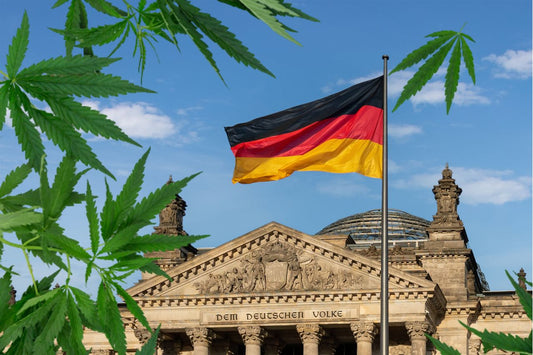 Cannabisblad foran Riksdagen