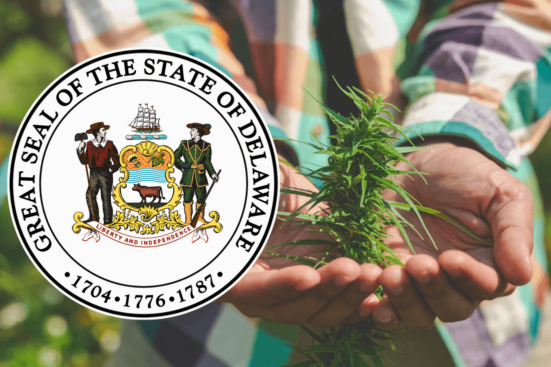 Delaware legaliserer cannabis for voksne