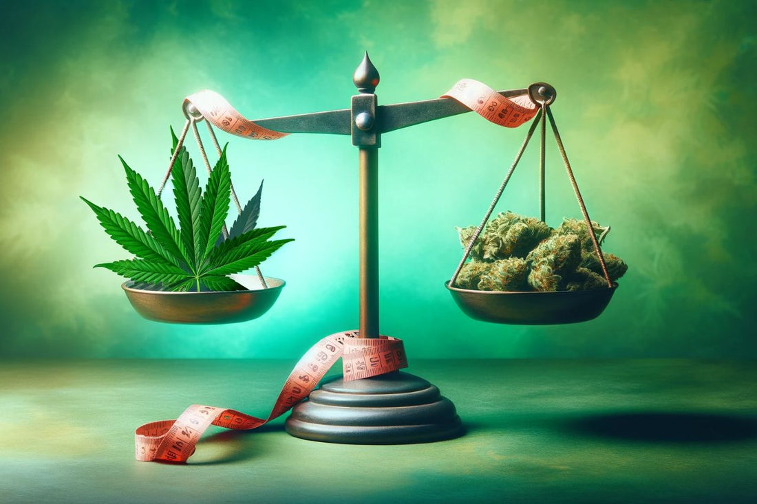 Cannabis, vekt og målebånd