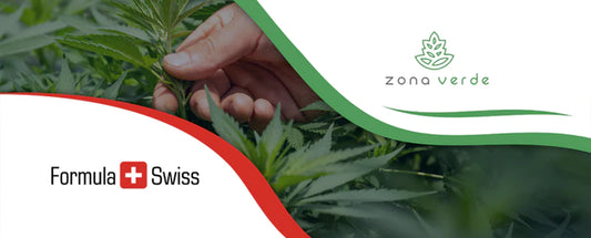 Formula Swiss samarbeider med den ledende cannabisforhandleren i Romania