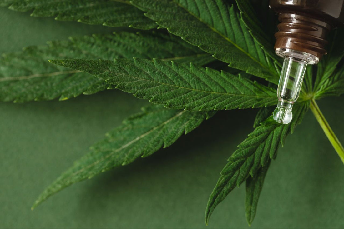 Forskrifter for medisinsk cannabis i New Zealand