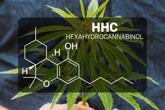 Kjemisk struktur av HHC (Hexahydrocannabinol)