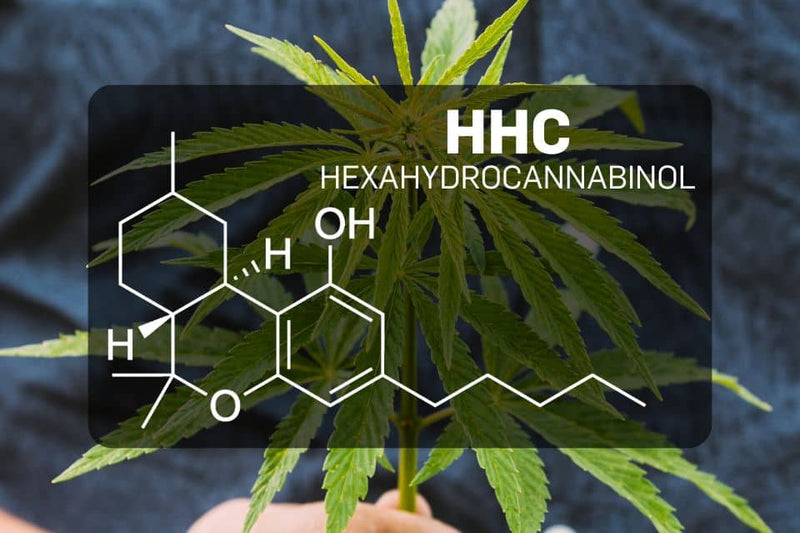 Kjemisk struktur av HHC (Hexahydrocannabinol)