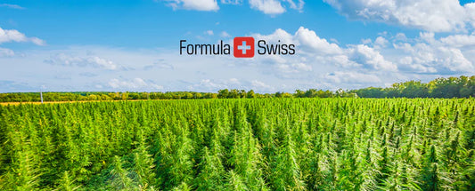 Den tyske helseministeren oppdaterer om EUs legalisering av cannabis
