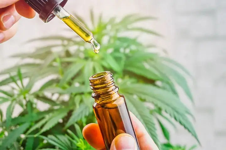 Hva er CBD oil?
