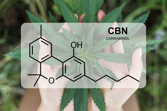 Hva er CBN (cannabinol)?