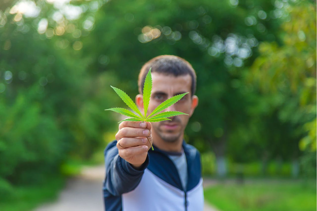 Israels politikk for medisinsk cannabis