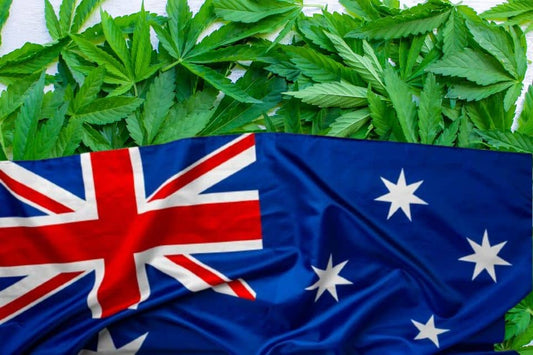 Cannabisblader og det australske flagget