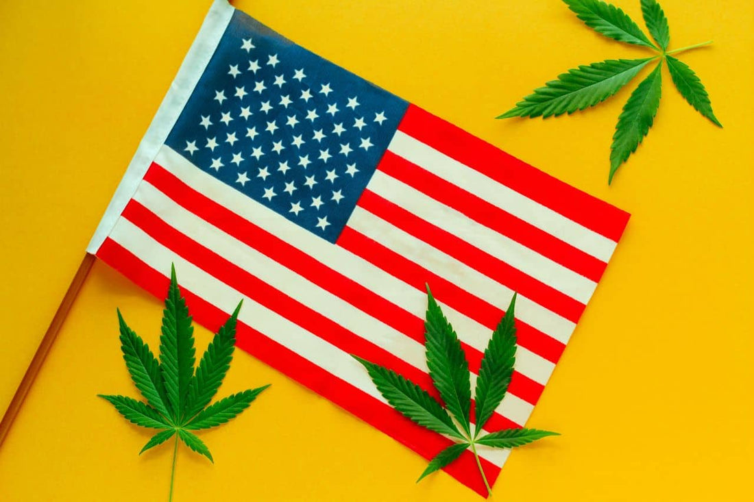 Amerikansk flagg med cannabisblader