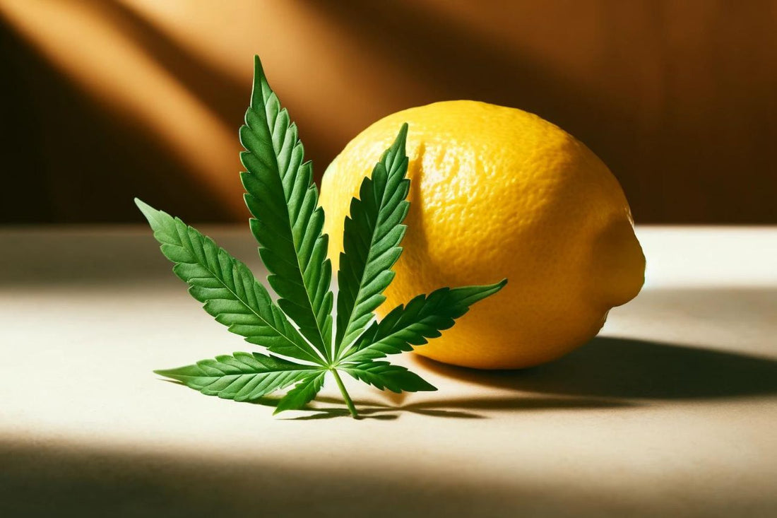 En sitron og et cannabisblad