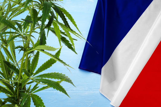 cannabisplante og Frankrikes flagg
