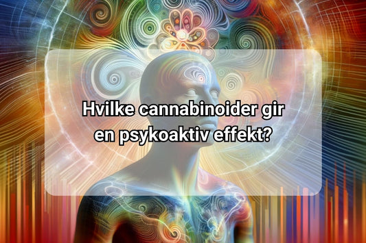 Hvilke cannabinoider gir en psykoaktiv effekt?