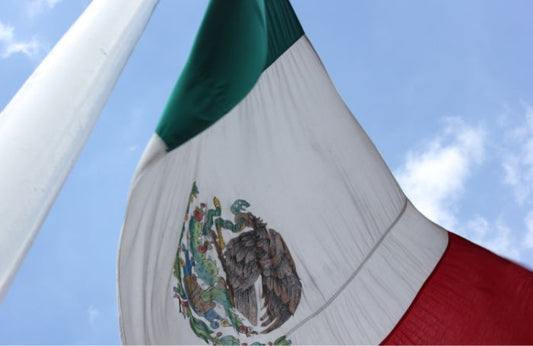 Vifter med Mexicos flagg