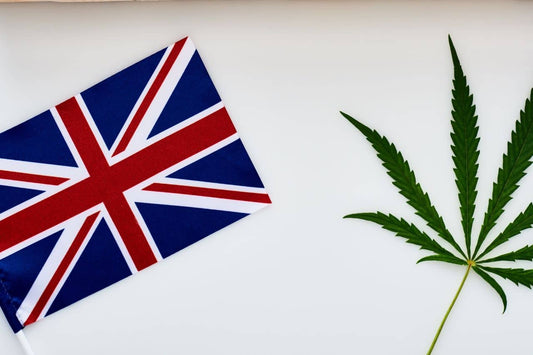 cannabisblad og britisk flagg