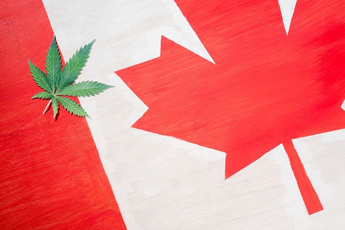 Modernisert cannabispolitikk i Canada