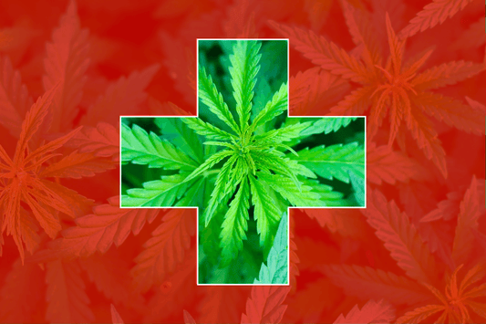 Sveits' tilnærming til cannabis