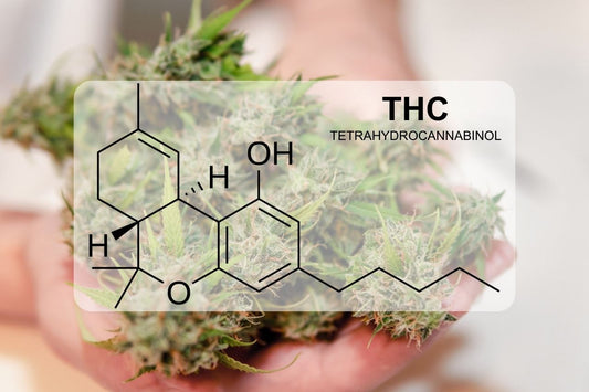 Hva er THC (tetrahydrocannabinol)?