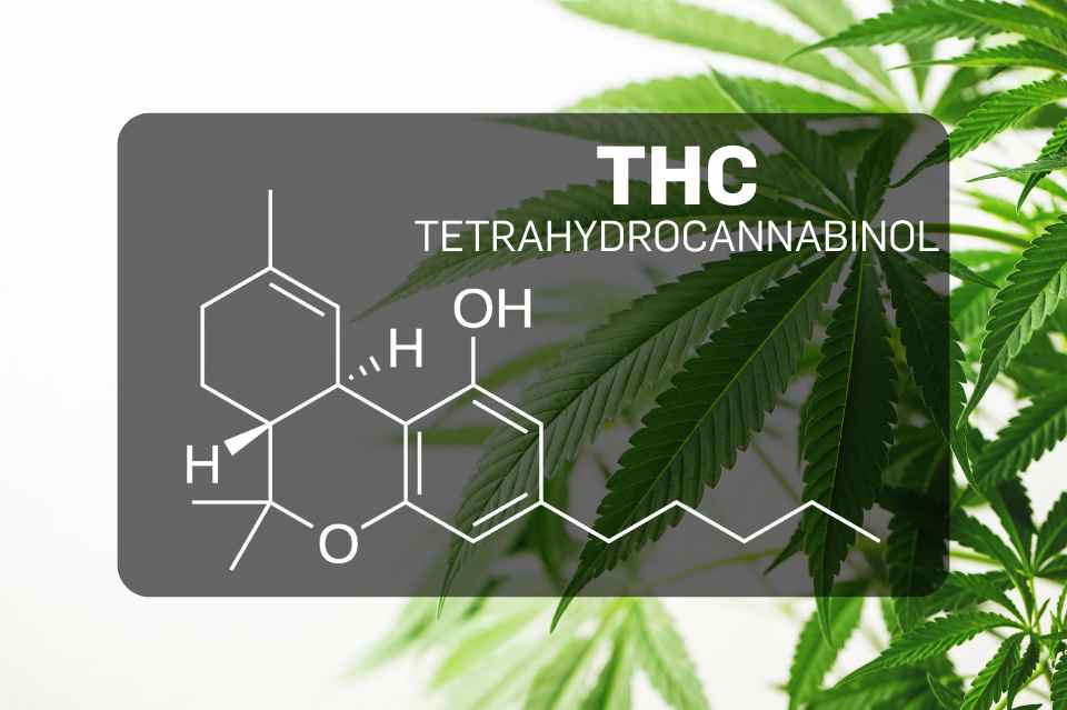 THC – Tetrahydrocannabinol