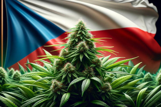 Cannabisplante og Tsjekkias flagg