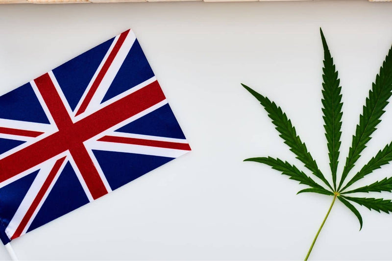 Cannabisblad og det britiske flagget