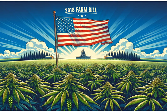 Et flagg i en cannabisåker