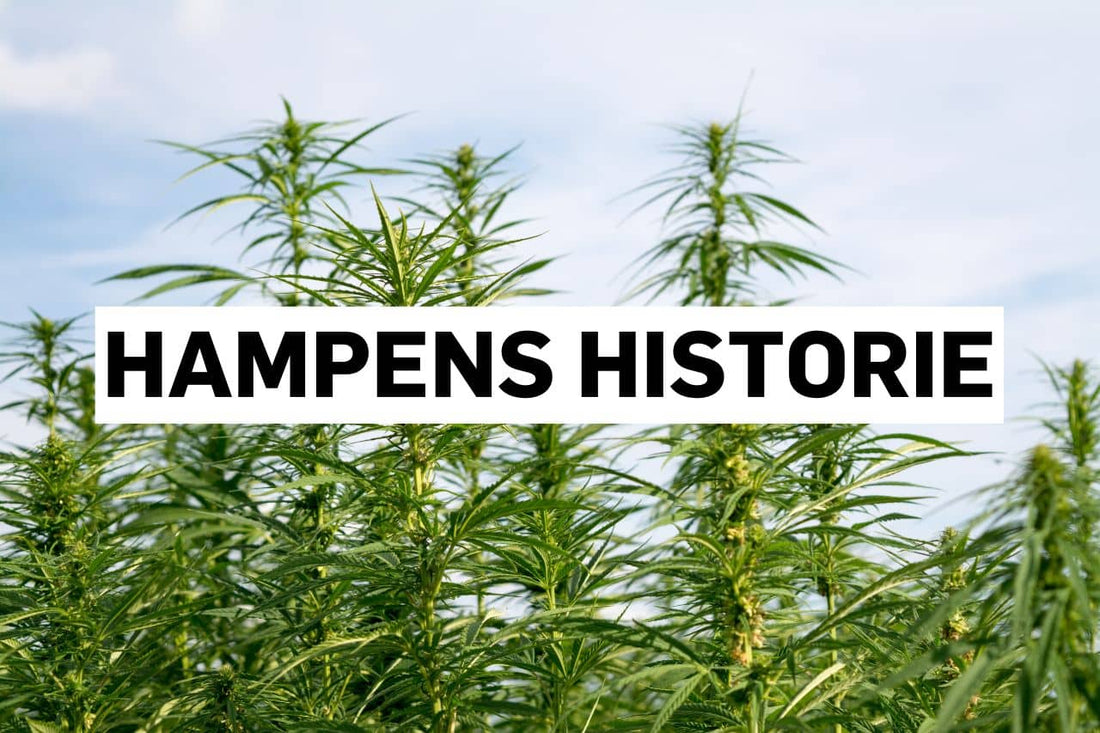 Hampens historie